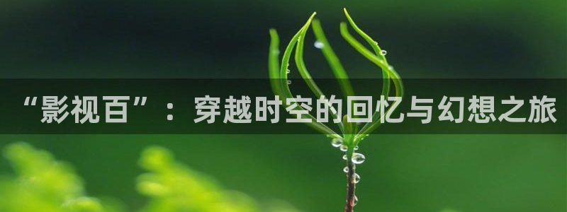 午夜影院伦理大片