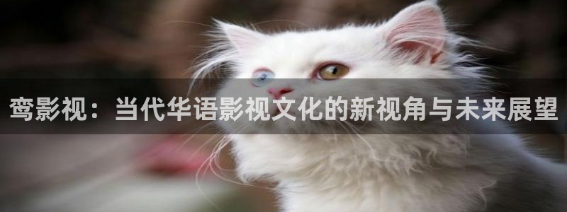 男女啪啪午夜影院：鸾影视：当代华语影视文化的新视角与未来展望