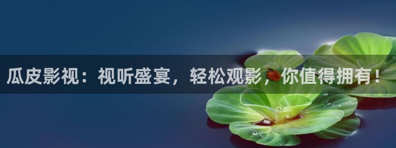 午夜影院91网址：瓜皮影视：视听盛宴，轻松观影，你值得拥有！