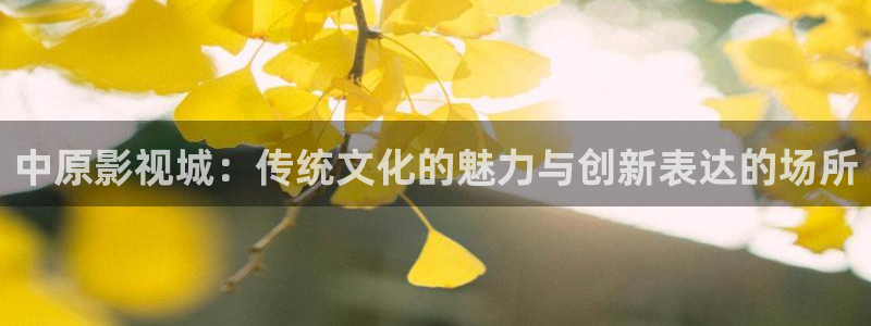 午夜影院怎么申请退款：中原影视城：传统文化的魅力与创新表达的场所